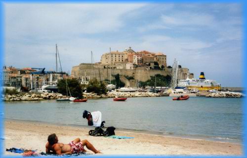 Calvi